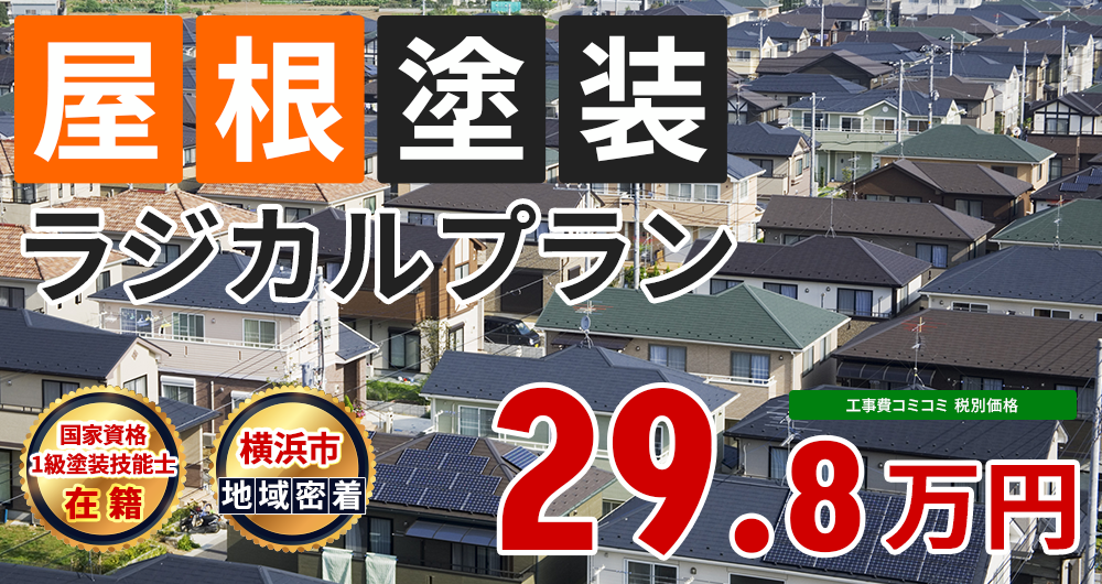 ラジカルプラン 29.8万円（税込32.78万円）